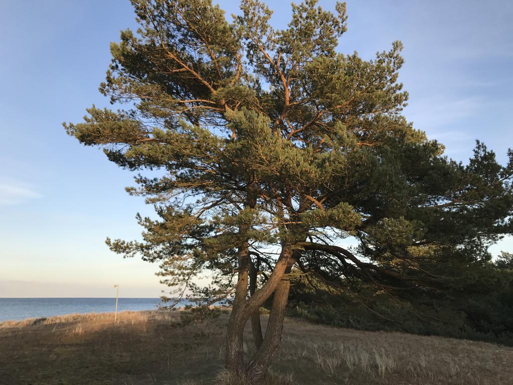 Zum Nordstrand بريرو المظهر الخارجي الصورة